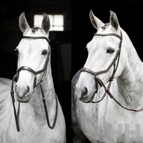 CABEZADA INGLESA HORSEWARE MICKLEM BITLESS BRIDLE