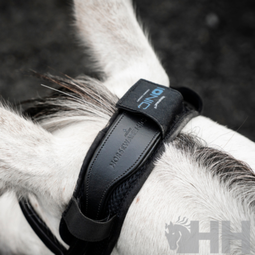 PROTECTOR TESTERO HORSEWARE IONIC CALMANTE