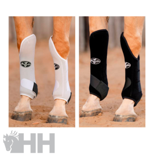 PROTECTOR PROFESSIONAL