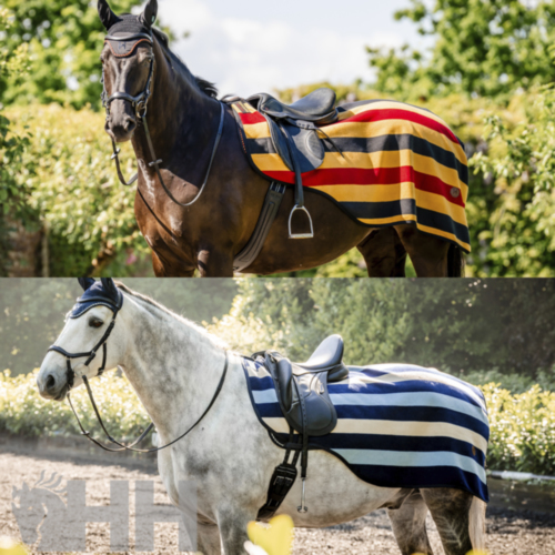 MANTA HORSEWARE NEWMARKET RIÃONERA POLAR